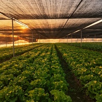 Zwarte HDPE geweven landbouw schaduwnet, milieuvriendelijk, UV-bescherming, heavy duty, draagbaar voor tuinbouw & bloemenkwekerij