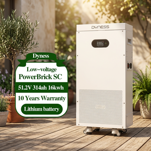 Batterie Dyness PowerBrick SC 16,076 kWh LiFePO4 51,2 V 314 Ah avec protection incendie intégrée, garantie 10 ans, ESS résidentiel - Product Image 1