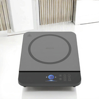 Table de cuisson à induction électrique à usage domestique avec boîtier en plastique Appareil de cuisine