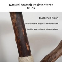 Arbre à chat en bois massif intégré avec niche douillette en bois de fruit, griffoir recouvert de jute, plateforme de saut, style épuré MR52