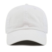 Gorra de Béisbol Deportiva de 6 Paneles con Parche de Bordado de Animales Personalizado, Ajustable, para Hombre y Mujer, de Algodón, Estilo Hip Hop