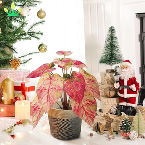 ประดิษฐ์กระถาง<span class=keywords><strong>สีชมพู</strong></span> Caladium พืชในร่มFaux Taroพืชหม้อสําหรับHome Officeโต๊ะห้องน้ําห้องนอนGreeneryตกแต่ง - Product Image 2