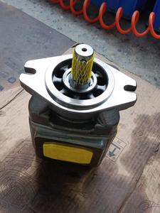 Pompe à engrenages interne hydraulique série CP0 CP1 CP2 CP1-63-P-10R-36 CP1-50-P-10R-36 CP1-25/32/40/50/63-P-10R-36 - Product Image 2