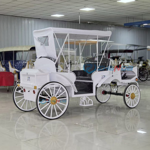 Popular Carroza Turística Clásica Blanca de Lujo Personalizada de Alta Gama con 4-8 Asientos / Carroza Eléctrica Turística Europea - Product Image 5