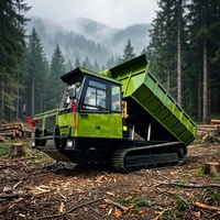 Nouveau camion benne sur chenilles tout-terrain de 15 tonnes avec direction à droite pour vergers et forêts – Opération efficace