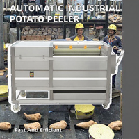 Industriële aardappel schilmachine, automatische fruit- en groenteschiller, borstelrolwasser voor verwerkingsbedrijven
