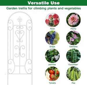 Treillis pour plantes en <span class=keywords><strong>fer</strong></span> de haute qualité, écologique, ornement de jardin en métal <span class=keywords><strong>blanc</strong></span>, arche en métal, portail de jardin, clôture - Product Image 4