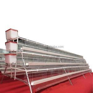 <span class=keywords><strong>Cage</strong></span> de batterie de volaille automatique galvanisée en nouvel état pour <span class=keywords><strong>cage</strong></span> de poulet de ferme nigériane - Product Image 1