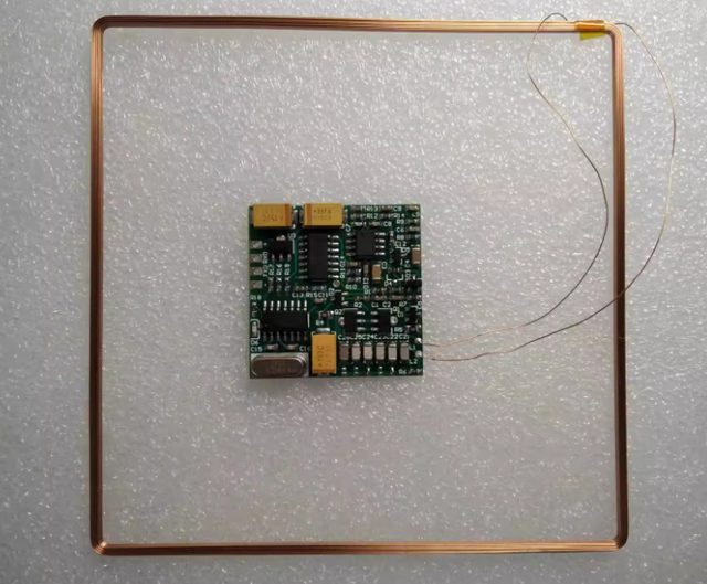 134.2K RFID Card Reading Module FDX-B Ear Tag Glass Tube Radio Frequency ISO11784/5 Animal Management