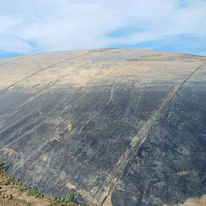 Membrane anti-infiltration Géomembrane HDPE Parfaite pour les étangs, les lagunes et les zones de confinement - Product Image 2