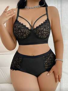 2026春季OEM批发女式大码性感内衣套装蕾丝丁字裤网纱透视蕾丝内衣文胸套装内衣 - Product Image 3