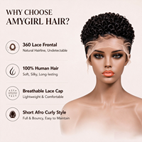 Perruques Courtes Pixie de 10 Pouces en Cheveux Humains, Perruques Afro Bouclées, Perruques Pixie Entièrement en Dentelle, Couleur Naturelle pour Femmes Noires, Perruque 360 en Dentelle