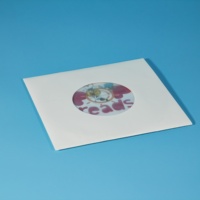 Özel yüksek kaliteli şarkı Lp fonograf vinil kayıt