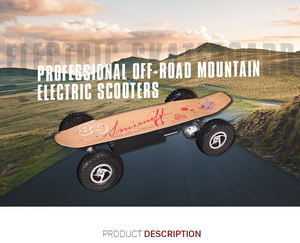 Skateboard Elettrico con Autenticazione CE RoHS FCC Design Urbano Off-Road Conciso Guida Invece di Camminare 800W 36V 14AH Prezzo all'Ingrosso - Product Image 2