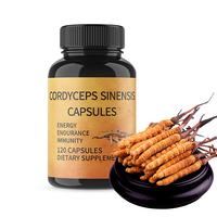 Capsules de supplément pour adultes à marque privée au Cordyceps Sinensis - 120 gélules - Soutient l'énergie et la santé du système immunitaire - Durée de conservation de 24 mois