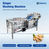 Automatische Bubble Fresh Ginger Groentewasmachine