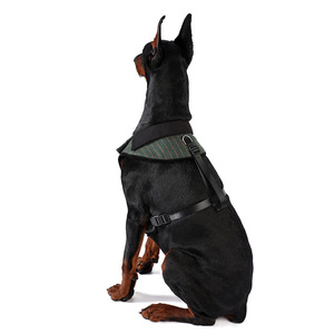 Traje de Moda para Mascotas, Correa para el Pecho, para Perros Grandes, Medianos y Pequeños, Traje para Gatos - Product Image 4
