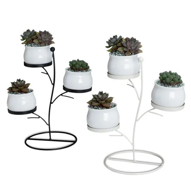 Wholesale Succulent Pots 2.55 Inches Ceramic Flower Planter with Metal Treetops Stand Pack of 3-Plants