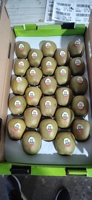 Hoge Kwaliteit Kiwi Voor Supermarkt Premium Grote Smaak Verse Kiwi Fruit Boomgaard Groothandel