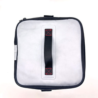 Sac isotherme de pique-nique et de camping extérieur, facile à transporter, sac à poisson, boîte d'isolation thermique, sac isotherme à bouteille de vin étanche et tendance avec poignée