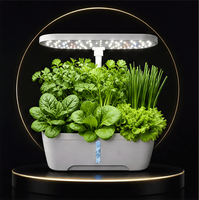 Machine de plantation hydroponique intelligente à 12 trous, maceta smart houseware