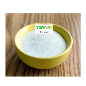 Enzima Lipasa al Mejor Precio, <span class=keywords><strong>CAS</strong></span> 9001-62-1, Polvo de Lipasa de Grado Alimenticio - Product Image 3