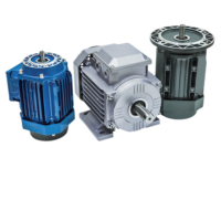 Petit moteur électrique monophasé triphasé AC avec réducteur 0.37kw NMRV40 0.75kw NMRV50 réducteur à vis sans fin