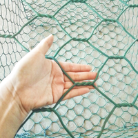Grillage gabion hexagonal en PVC robuste, anti-corrosion, pour la régulation des rivières, soudé et plié, longue durée de vie