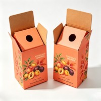 Boîte en carton ondulé pliable personnalisée avec insert pour l'emballage de bouteilles de vin et de boissons