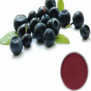 Chất lượng cao cung cấp Nhà Máy euterpe oleracea chiết xuất acai berry chiết xuất bột