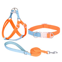 Harnais pour chien Y Dog, accessoires pour animaux de compagnie, collier pour chien, laisse, ensemble de harnais, sangle en polyester, harnais de sport pour chien