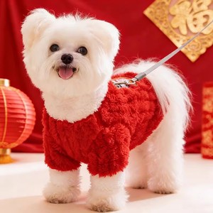 Vêtements d'hiver pour chat, style traditionnel chinois, boutons à nœuds chinois, manteau en coton du Nouvel An, ragdoll, chat bleu, chaton, chiot - Product Image 1