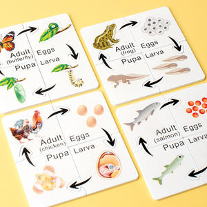<span class=keywords><strong>Juego</strong></span> Educativo Temprano de Reconocimiento de Insectos, Juguetes de Madera de Evolución Biológica para Niños, Tablero de Ciclo de Vida, Material Didáctico Montessori - Product Image 2