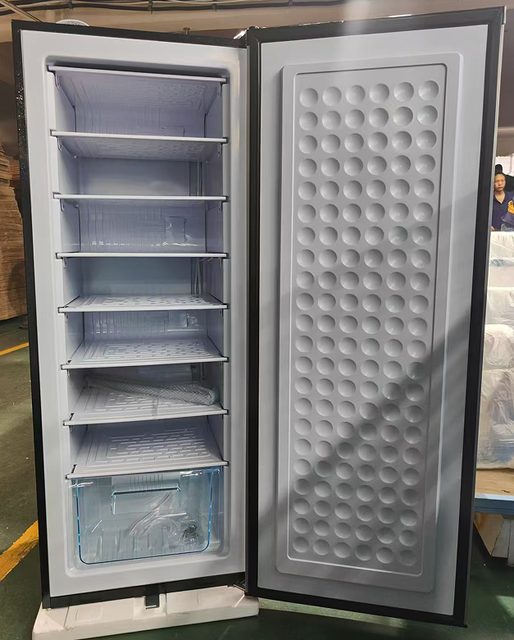 New Lower Price 24VDC 198L 255L 298L Multi-layers Solar Vertical Freezer for Ice Block Freezing for Fish Meat or Water in Stock