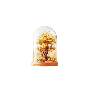 Ensemble de dôme de présentation de fleurs en blocs de construction HuaHua, 400-800 pièces, décoration de bureau, cadeau d'anniversaire pour adolescents - Product Image 5