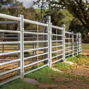 Hàng rào cừu cừu hàng rào tấm cừu và hàng rào dê - Product Image 5