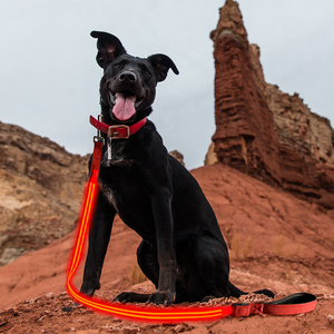 USB ricaricabile incandescente sicurezza LED guinzaglio del cane per camminare il cane di notte - Product Image 2