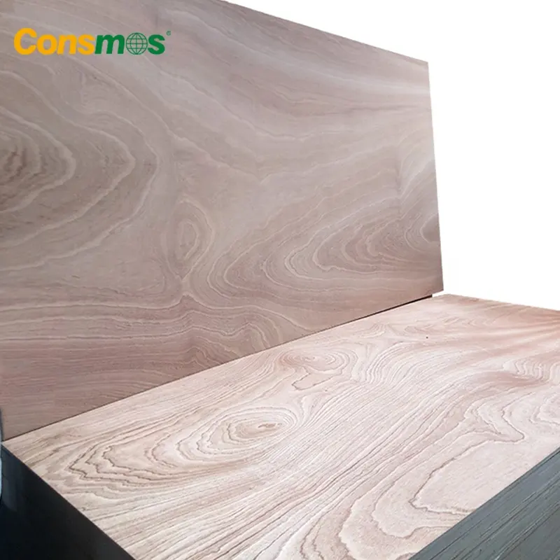 18mm blanqueado Álamo Arce blanco abedul Pino Bintangor Okoume Sapele roble contrachapado comercial