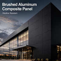 Panneau composite en aluminium brossé revêtu de PVDF 4x8, panneau composite en aluminium A2 résistant au feu, respectueux de l'environnement pour la façade de bâtiment, mur-rideau