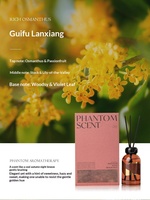 Coffret Cadeau Souvenir Série Phantom : Diffuseur de Parfum d'Intérieur pour Hôtels, Huile Essentielle d'Aromathérapie Sans Flamme