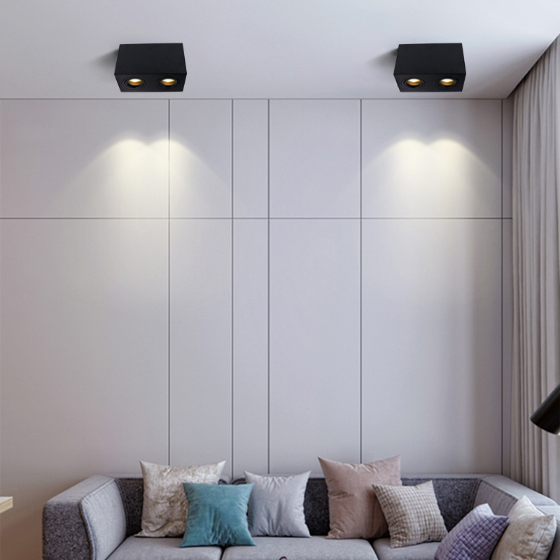 RoHS LED Ceiling Spotlights Surface Mounted Indoor Led Twin Head Spotlights