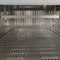 Machine d'injection automatique de saumure en acier inoxydable pour viande (poulet, bœuf, porc)