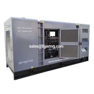 Générateurs à gaz silencieux monophasés et triphasés 25 kW 30 kW 40 kVA 50 kVA 100 kVA, groupes électrogènes au gaz naturel pour l'exploitation minière, fonctionnement silencieux - Product Image 2