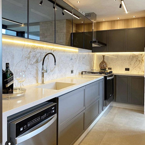 Kustom besi tahan karat kelas atas lemari dapur pernis desain baru anti bakteri dan anti karat furnitur pasokan langsung - Product Image 2