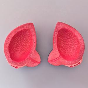 Model skala sains medis profesional struktur anatomi kandung kemih dengan pelatihan perawat prostat - Product Image 6