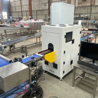 Automatische fruitgewicht-, formaat- en suikersorteermachine met visueel inspectie- en sorteerlijn en suikergehalte-detector voor appels en sinaasappels