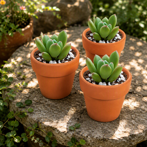 Piccolo Mini Argilla Terra Cotta Fiore di Cactus <span class=keywords><strong>Vasi</strong></span> di Ceramica di Fiori Fioriere Succulente Pentole - Product Image 2