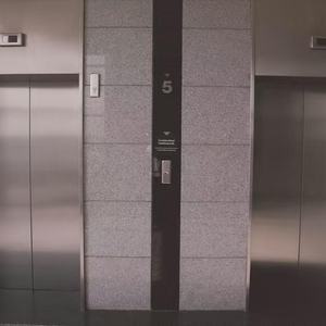 Ascensor Hidráulico Económico para Casa, Villa y Hotel, Funcionamiento Silencioso y Suave, Capacidad de Carga de 400 kg, Diseño Moderno otiss - Product Image 6