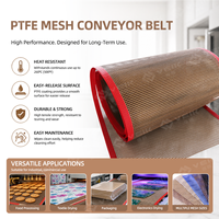 Bande transporteuse en maille PTFE pour fours de cuisson de matériaux composites, équipements de séchage, lignes de revêtement et traitement thermique continu