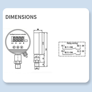 ST pts5038 áp suất thông minh điều khiển 4-chữ số LED hiển thị Dual Relay 220VAC/3A 4-20mA tùy chọn 24VDC lực lượng cảm biến tải tế bào - Product Image 4